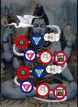 Kundalini Kette Shiva von Alfred Ballabene, siehe auch: http://www.paranormal.de/kundalini/index.htm 